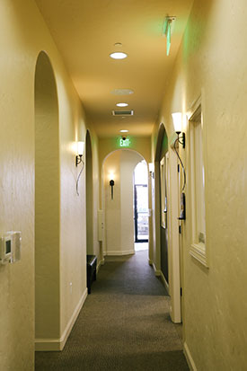 phenix-salon-1