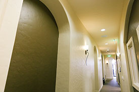 phenix-salon-3